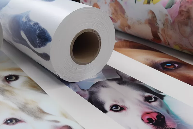 The Benefits of Using PET Film Paper for Your Business