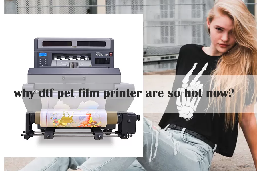 Do you know why dtf pet film printing are so hot now?